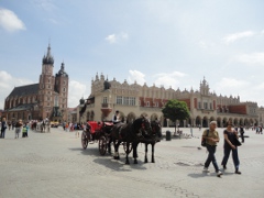 Sightseeing Touren in Polen